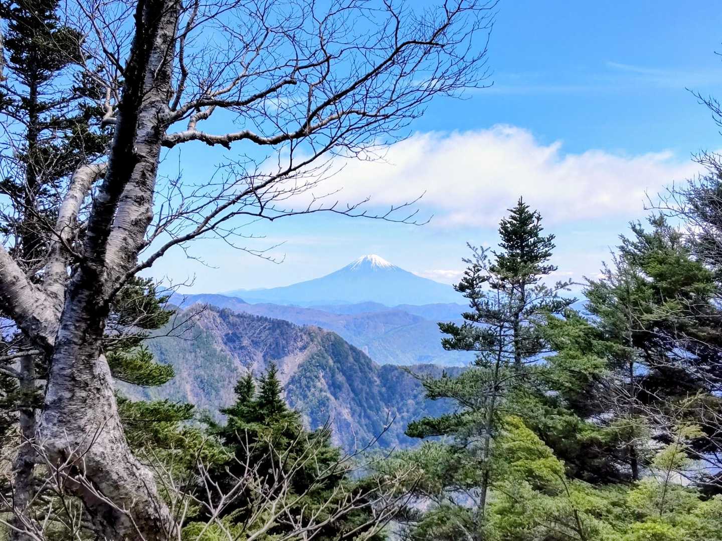 富士山のナイスVP！😍