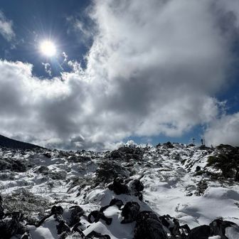 あっという間に坪庭