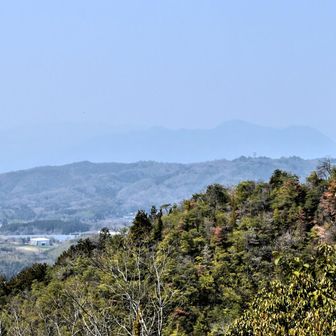 　　　⛰️滝山・那岐山方向
　　　…うっすら、見える…