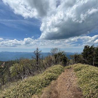 まだまだ居たいですが、先が長いので下山します。
