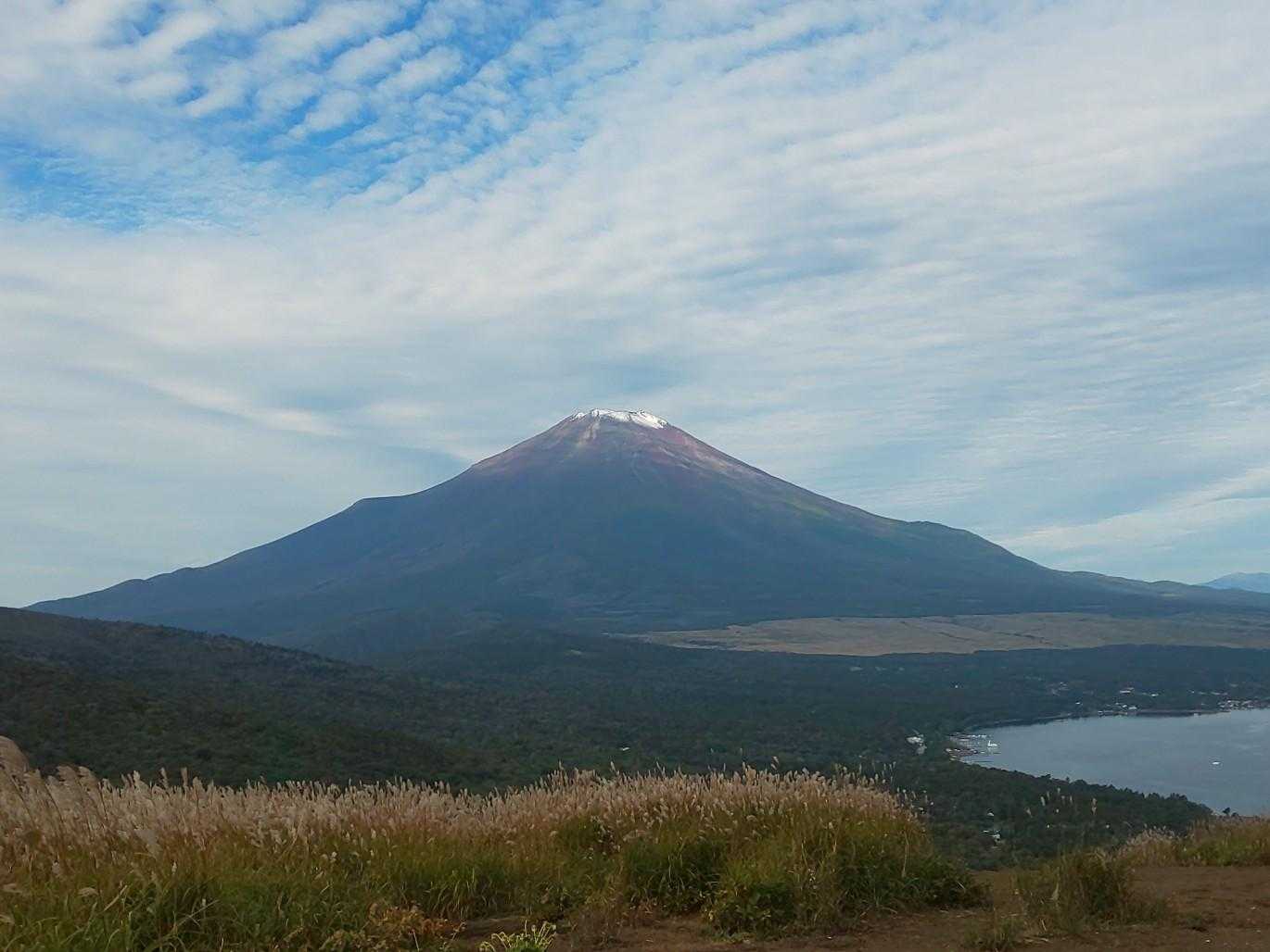 素敵
また来よう