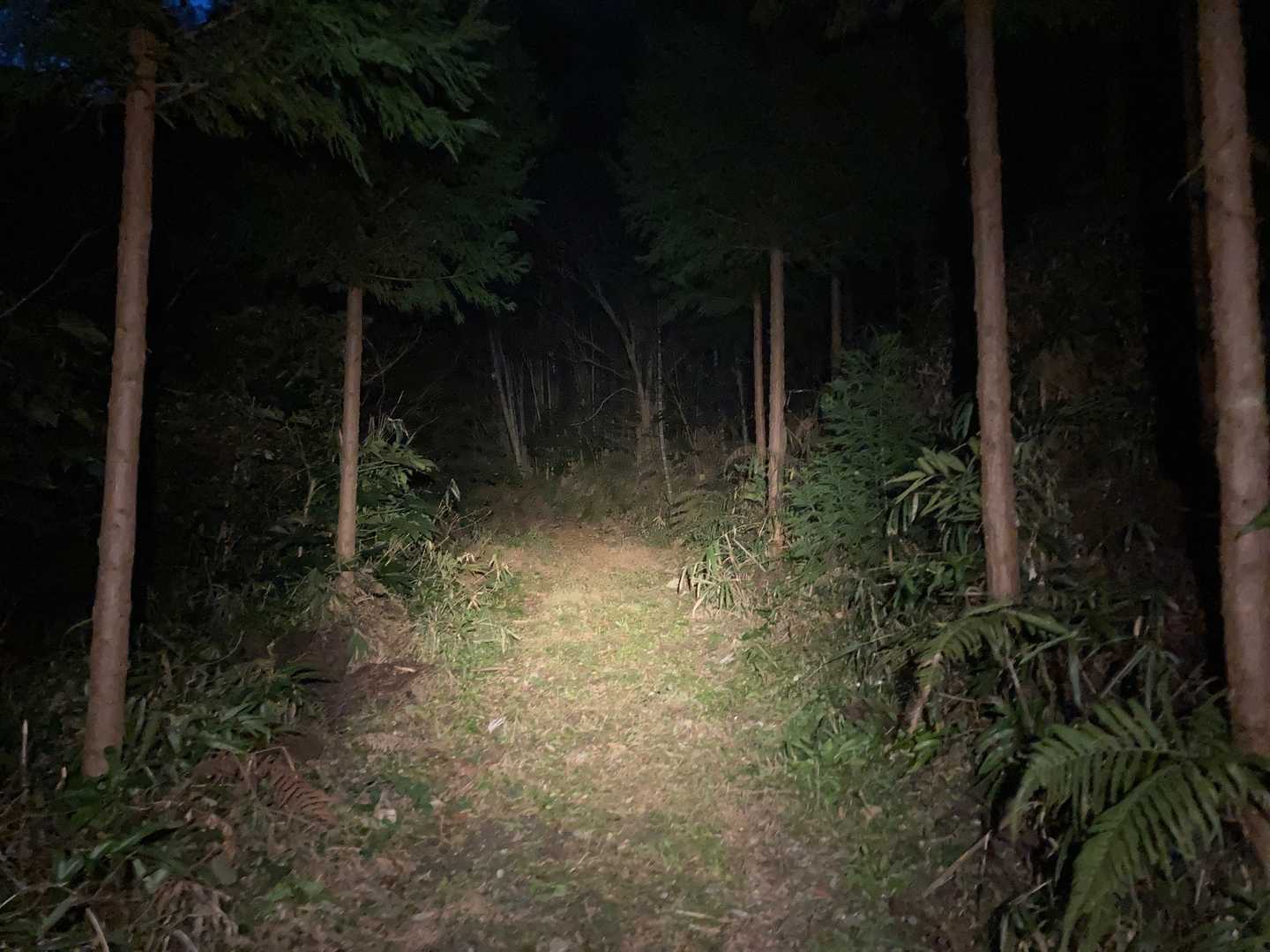 道も綺麗でした。