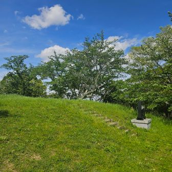 初夏の空