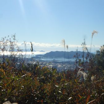 再度南面の展望