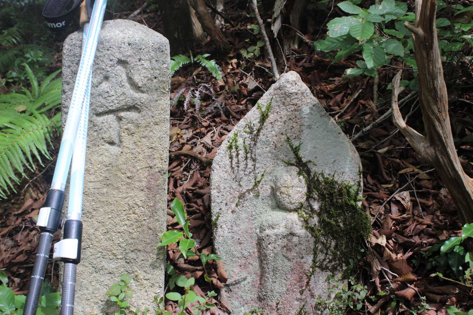 鷲ヶ嶽 往復コースの写真