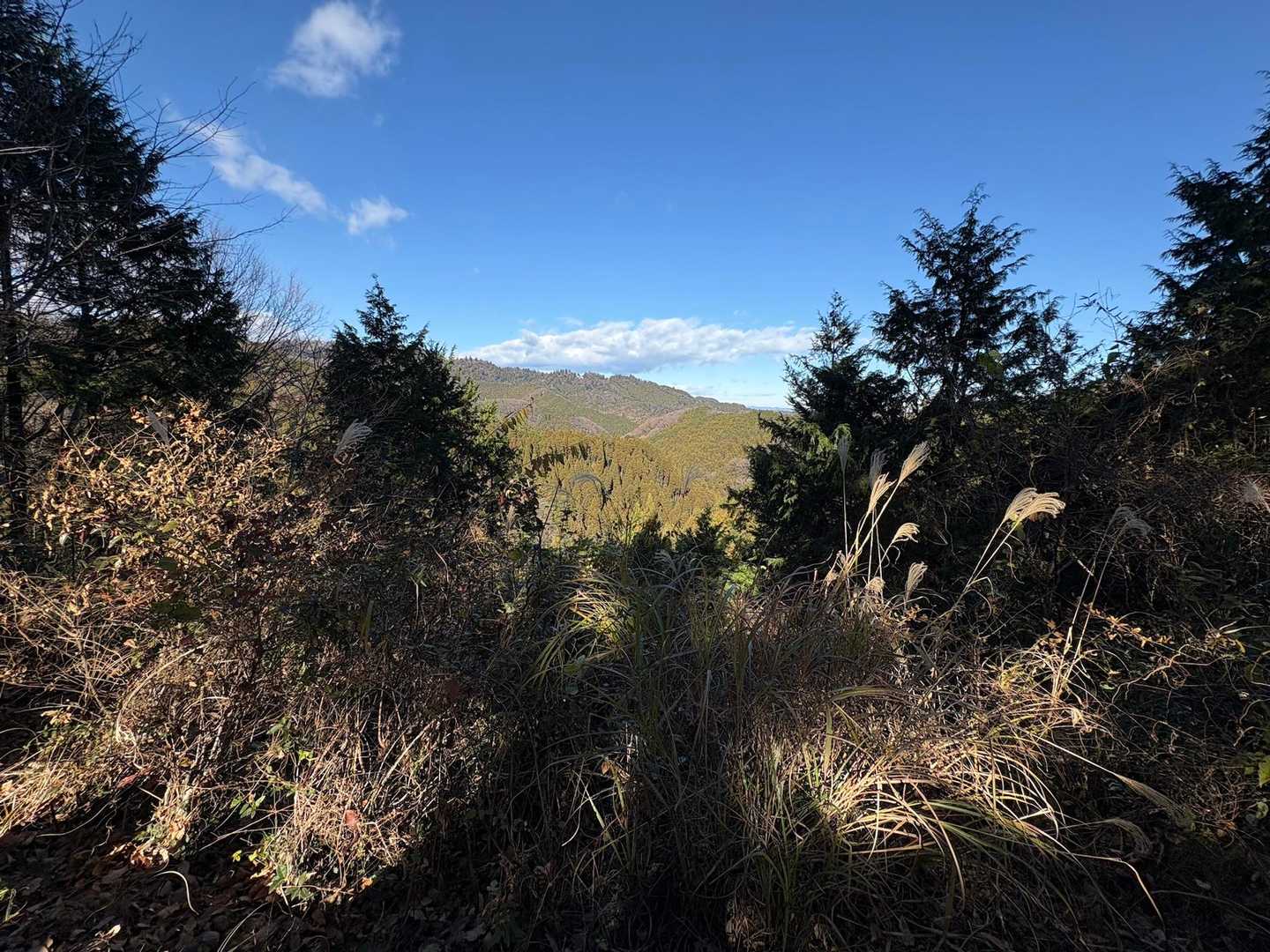 草戸峠