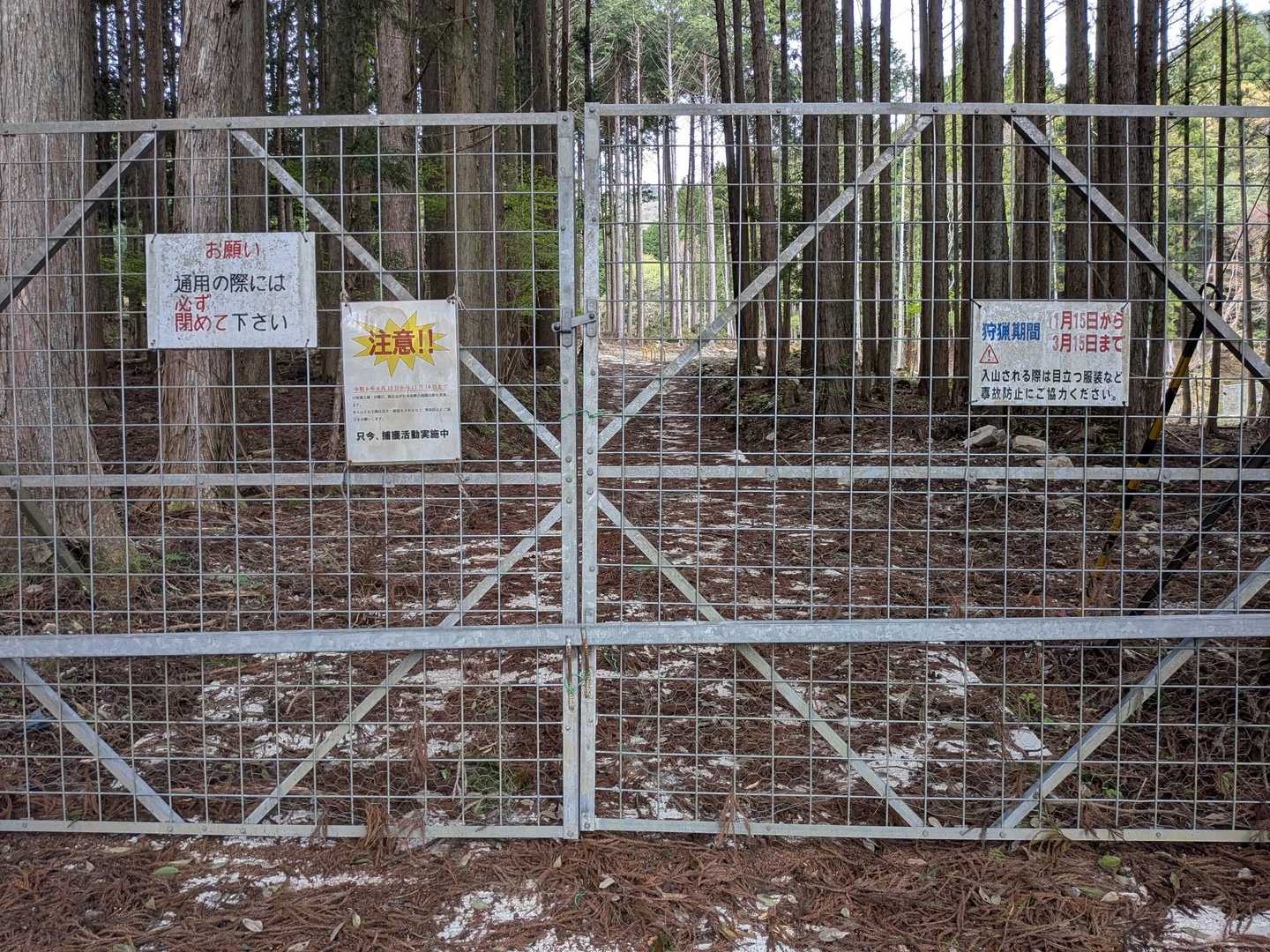 えーーっ💦どうやって入る⋯