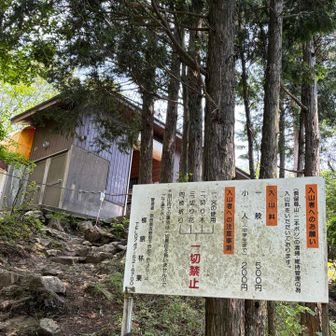 二本ボソの手前から入山料を徴収されます(500円)