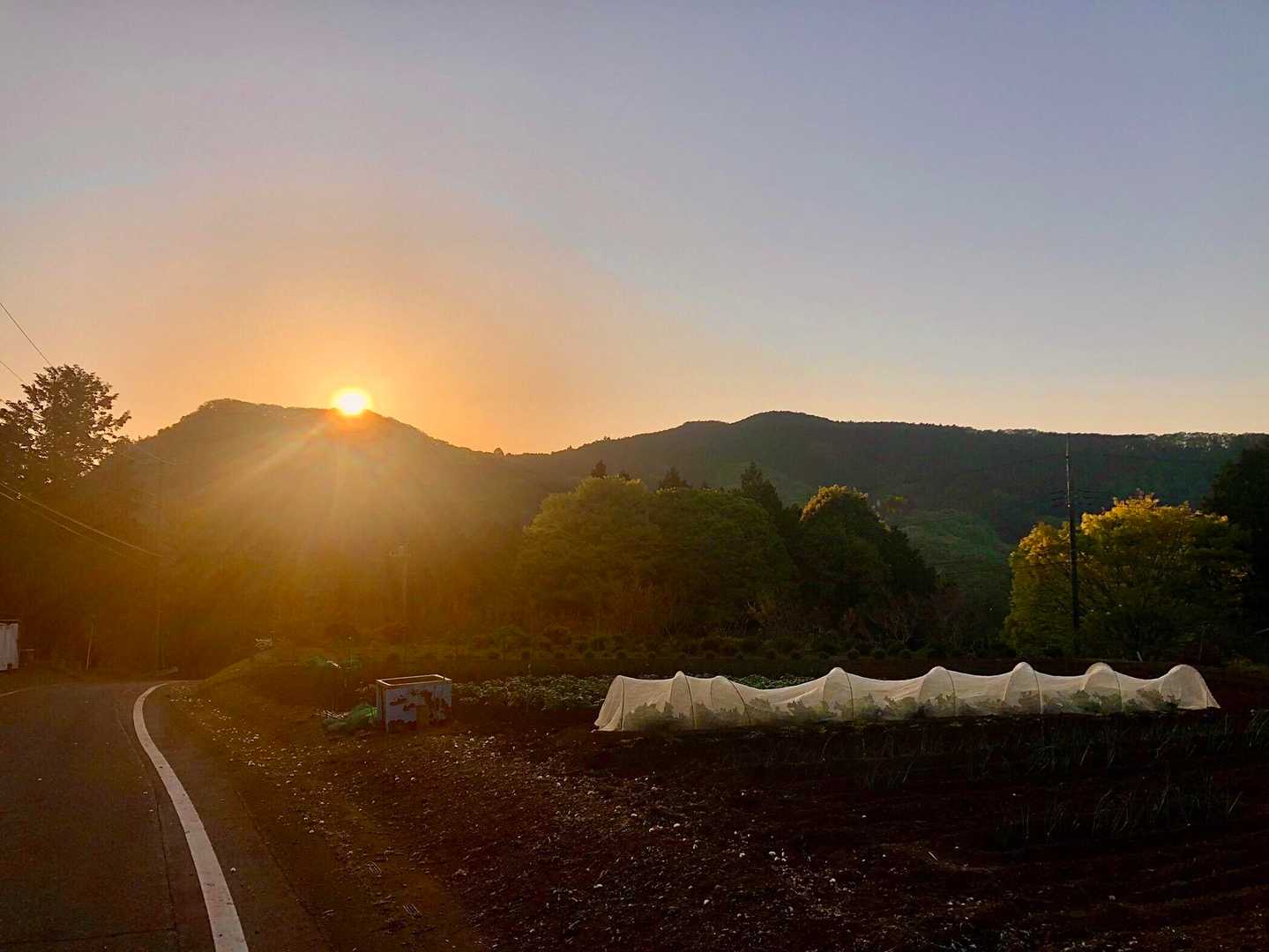 山から日の出