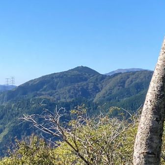 右奥に頭だけ出している山は伊吹山