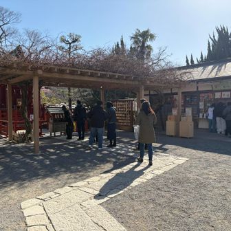 ここは弁財天です。池の鯉にあげる餌もあったので買いました。
鯉は動きが悪く、鳩がほとんど食べました。