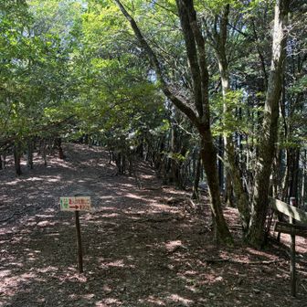 この分岐、どっちに行くべきなのかめっちゃわかりにくかった😓