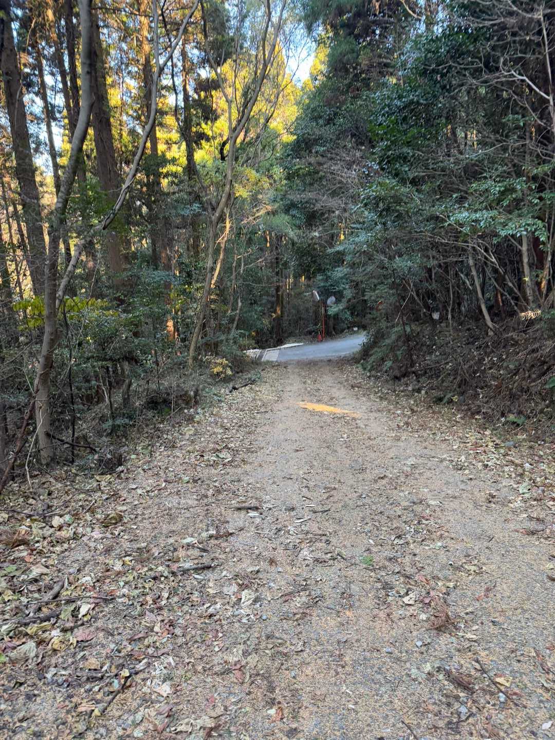 この先で舗装路にでました