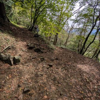 七ツ石山山頂手前から右へ…