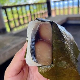 「1日置けば塩が馴染むので、今日は食べないでね」『柿の葉すし　ひょうたろう』お店の方から説明を受けましたが、今日食べます…「なるほど、コレが本来の柿の葉寿司なのか！」確かに塩味の強さを感じるが、登りで一頻り発汗した私達には丁度良く美味しくて最高！