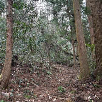 いしかわ動物園の裏にある虚空蔵山に行ってみよう