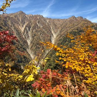 紅葉と針の木サーキットルート