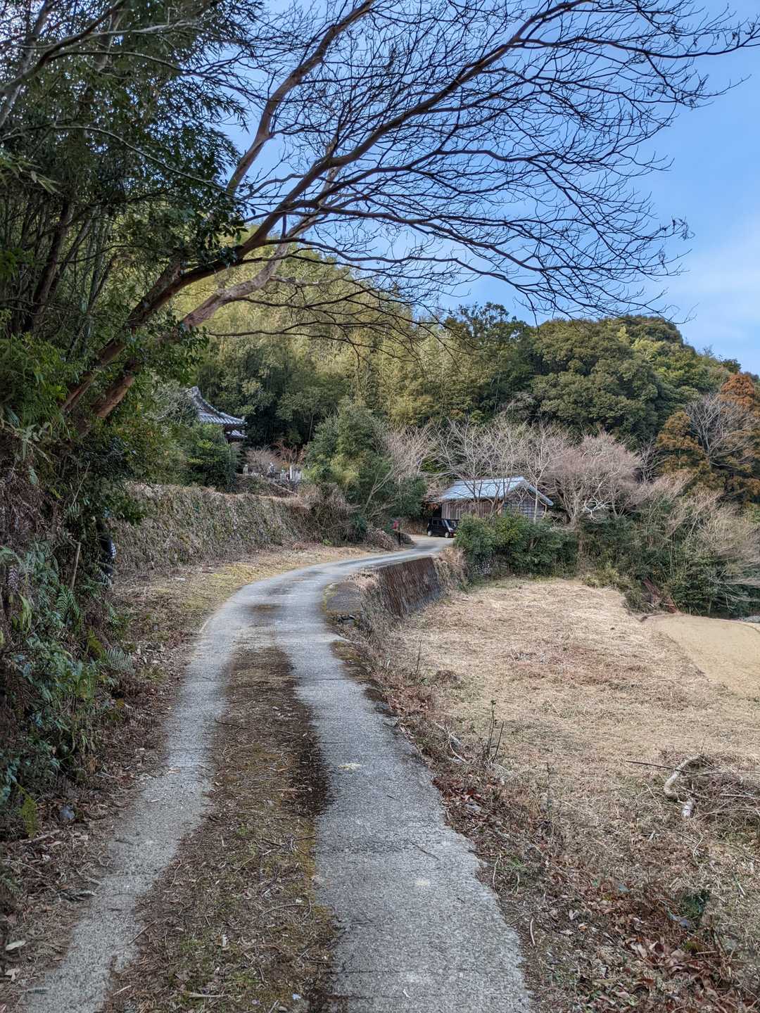 神社まで帰って来ました