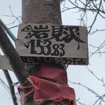三角点探しウロウロしてたら

「岩見沢
　153.83
　北海道グリーンランド山」！

標識✨️
小さいのもかわいい♪

ご褒美😽

YAMAP的ピークハントならず⤵
山頂認定してくれないかな？