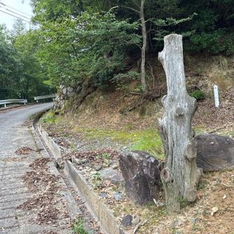 途中､登山道へ合流すると思われる分岐があった｡(右）