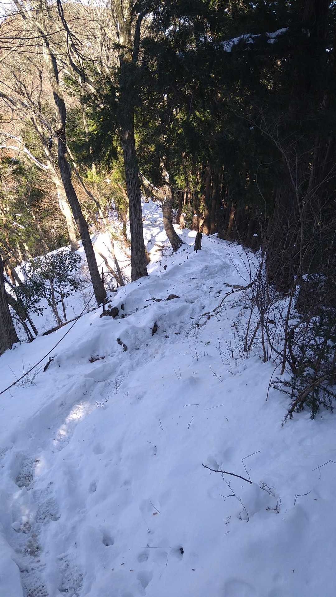 下りもヨイヨイ