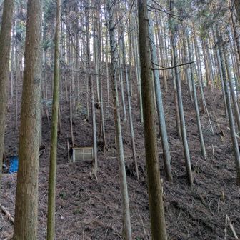 あそこが山頂っぽいかな🤔