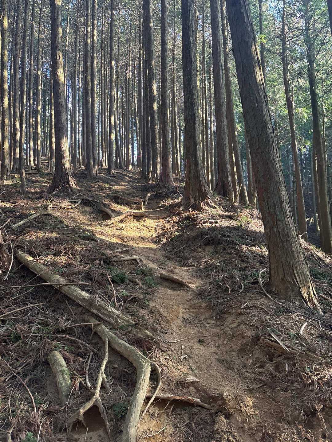 そしてまた急坂が続く････