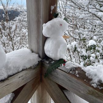 スヌーピー雪だるま（馬だっけ）も健在です。