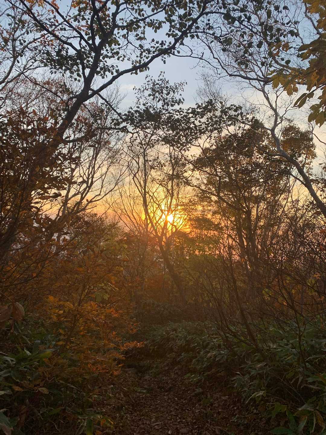 朝はめっちゃ晴れてたんよ☀️