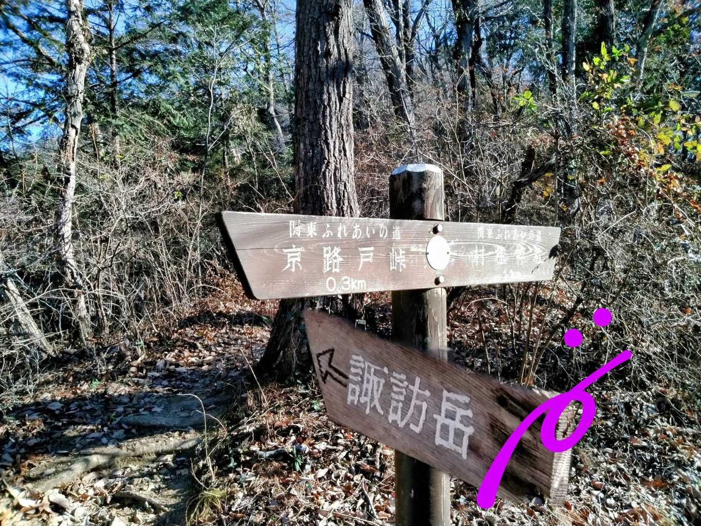 唐沢山神社から諏訪岳までは分かれ道が多く…方向ｵﾝﾁはドキドキしちゃうので、このくらい「諏訪岳」大きくしてほしいｶﾅ🥺