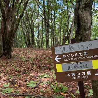 馬駈場、遭難するって何？
