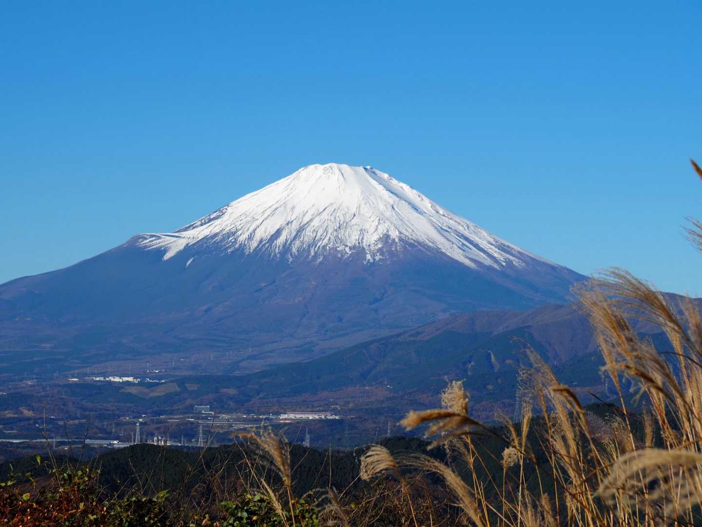 谷峨駅-大野山-山北駅 縦走コースの写真
