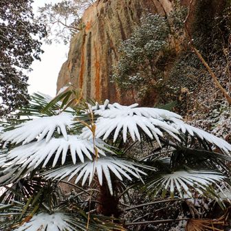 天狗のうちわか。(笑)