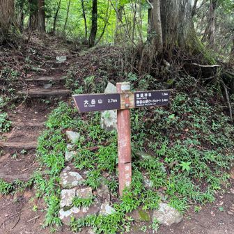 ここから奥の院峰まで結構急登が続くのです
これがしんどかった