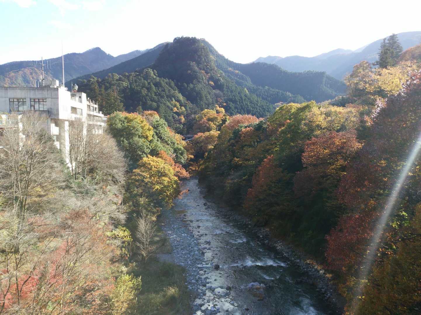 奥多摩駅-本仁田山-瘤高山-大根ノ山ノ神-鳩ノ巣駅 縦走コースの写真