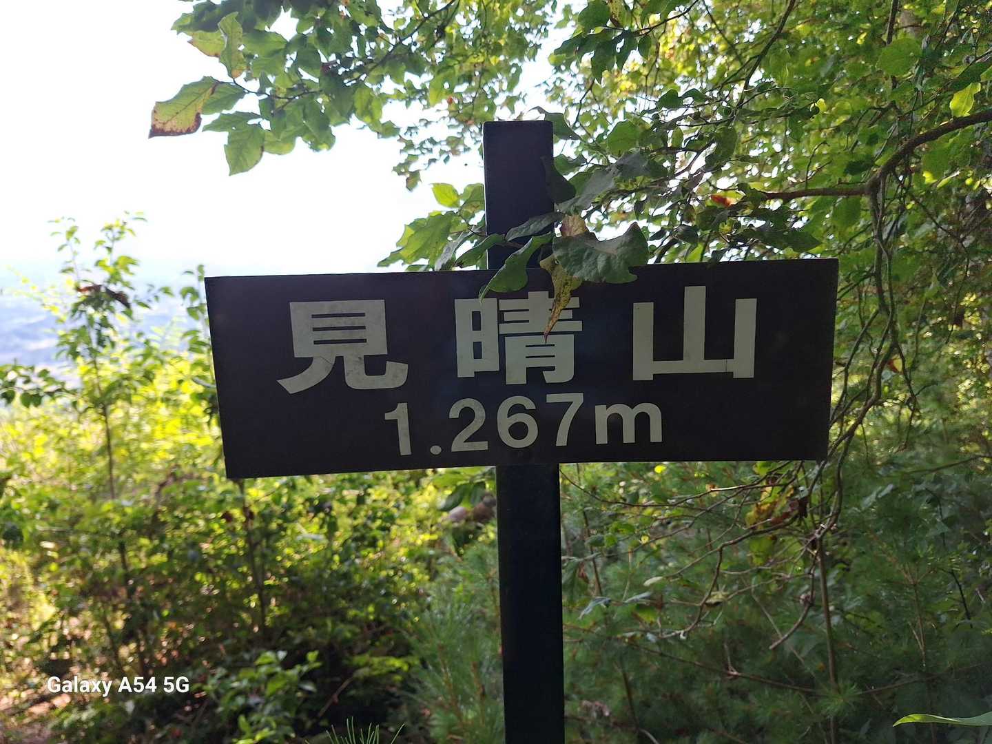 分岐から10分ほどで到着～🎵