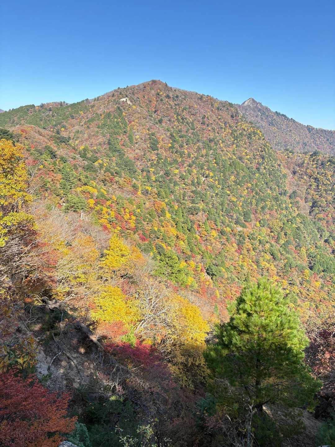キレイだねぇ😍🍁