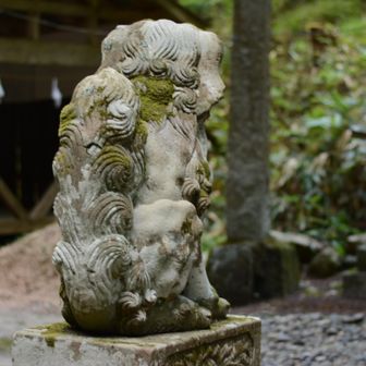 びしっと座った狛犬君の後ろ姿(女人堂)