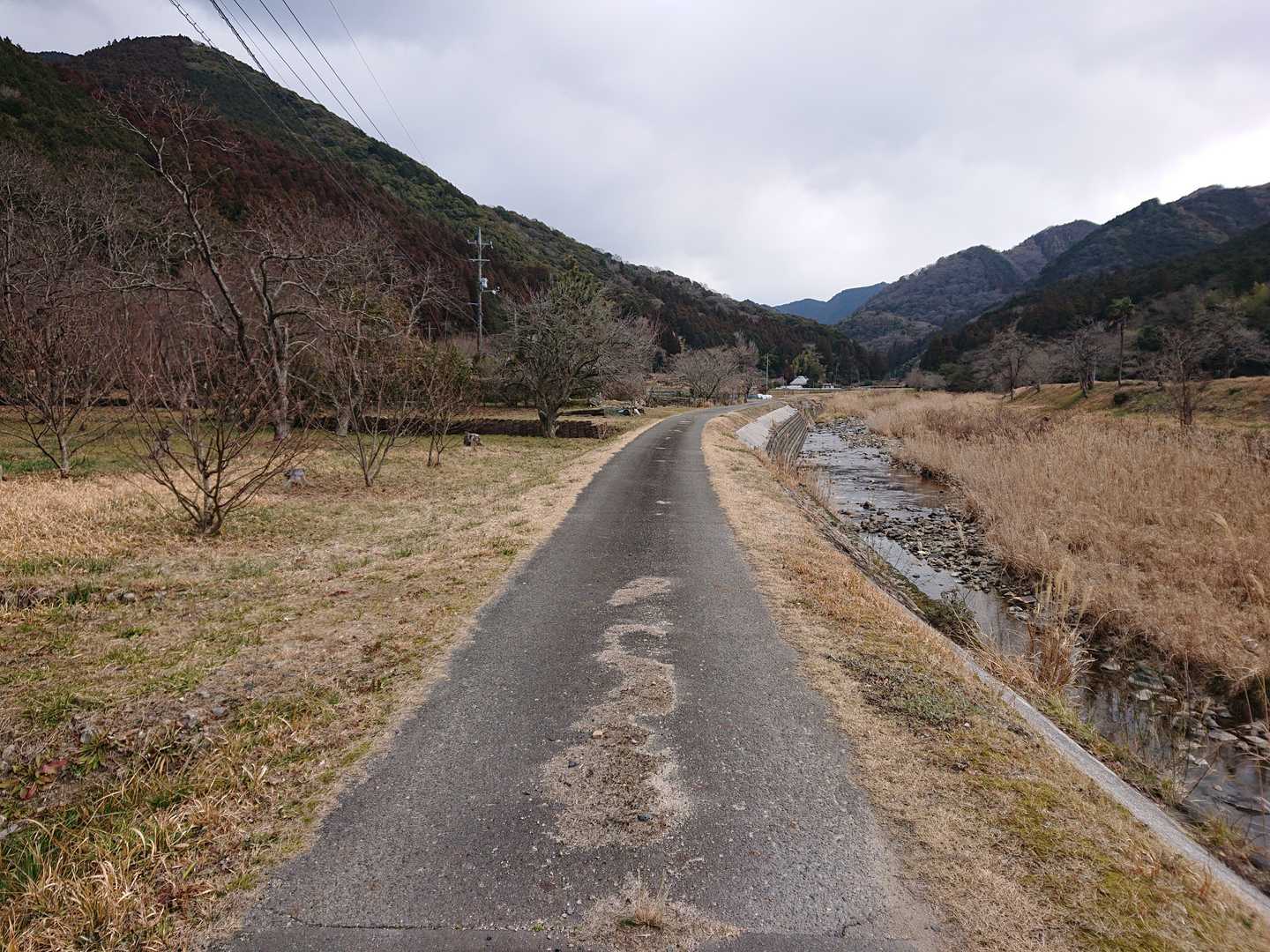 川上入口バス停-権現山登山口-権現山 往復コースの写真