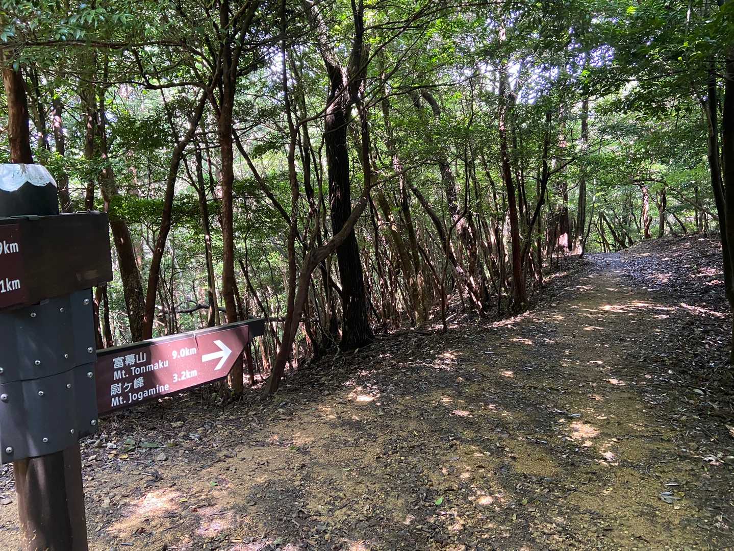 あっという間に分岐合流💦
