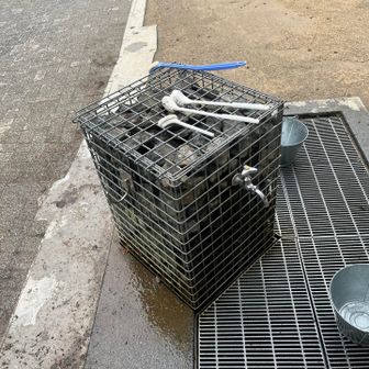 たわしで靴を洗う
✳︎至れり尽くせりでありがたい