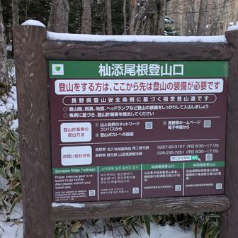 3月同様ここ杣添尾根登山口から登ります
-8℃からスタート⛄