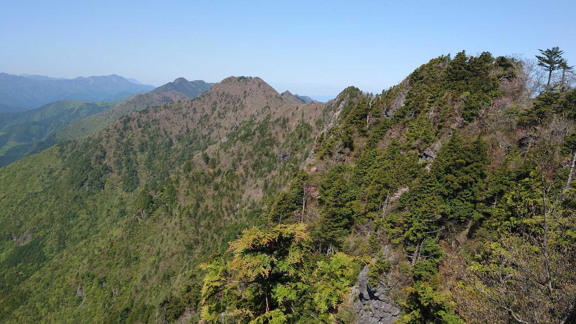 これから歩く稜線
山頂の長い山がエビラ山、その左の黒い山が東赤石山です。