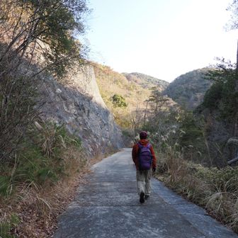 どんどん晴れてきて、光が✨