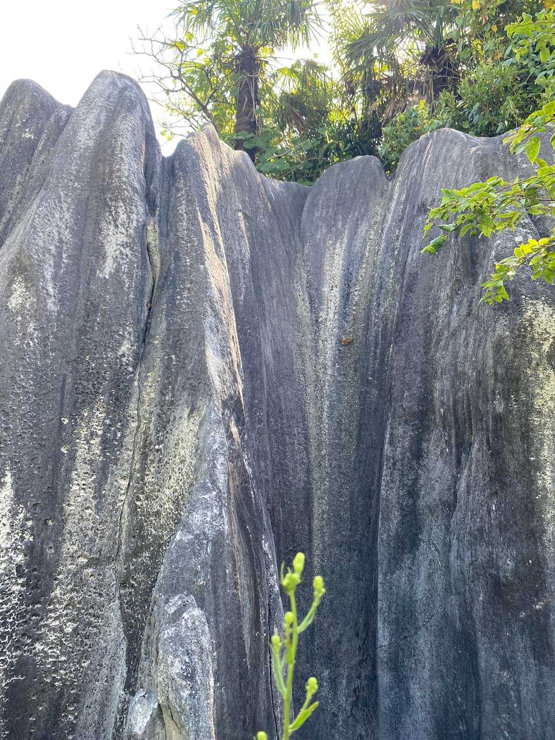 平尾台っぽい✨