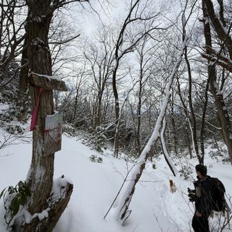 夏椿から下山したらmierinに会ったよー(^^♪