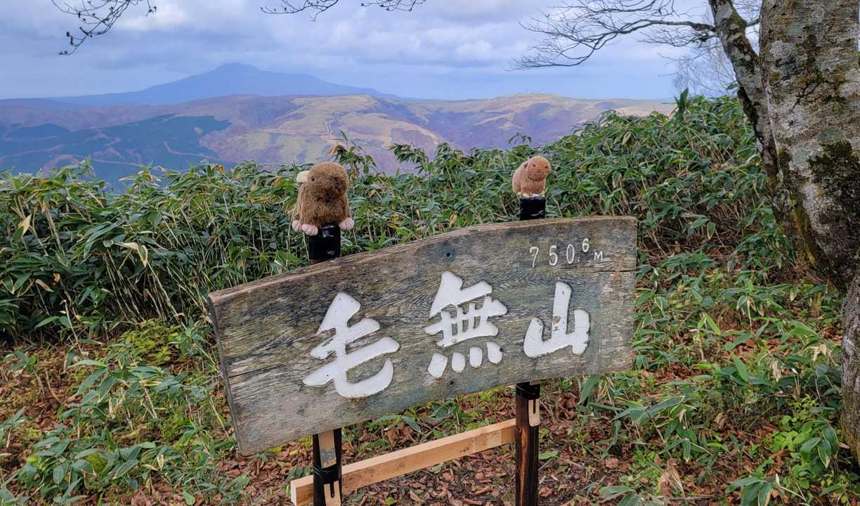 🥁ナツ吉もお疲れ🥁