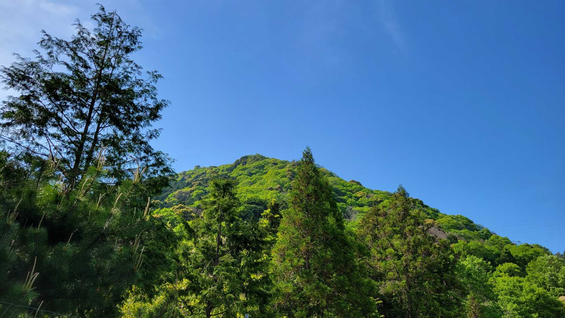 １日遊ばせてもらった
鎌倉山を後にします。