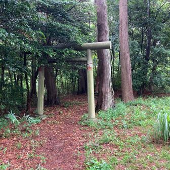 里山民家を過ぎて一旦市街地を抜けて階段を登った山の頂上近くの神社。