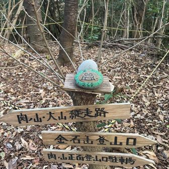 この先から下山してみましたが
結構な急勾配

登るのはムリかな😂